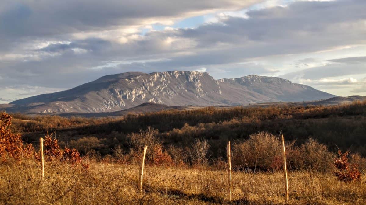 Tupižnica planina jesen
