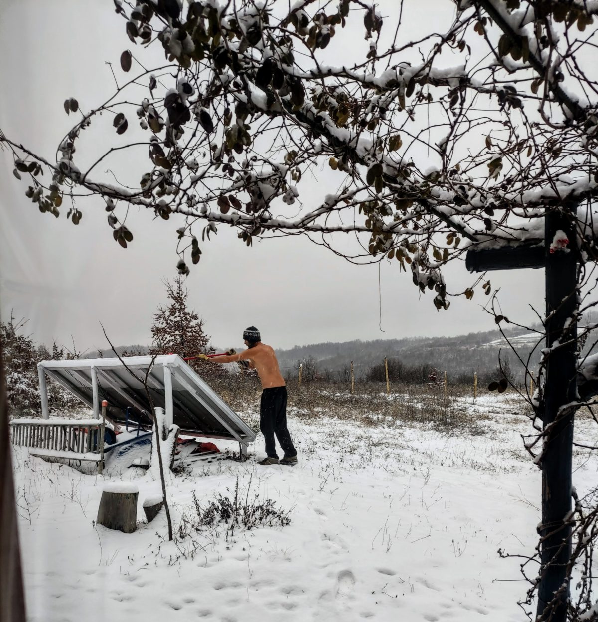 Solarni paneli zimi